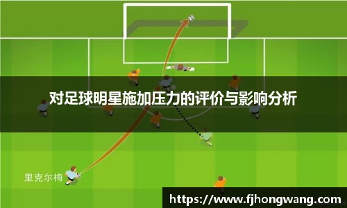 对足球明星施加压力的评价与影响分析